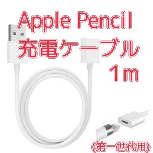 Apple Pencil 充電ケーブル 1m 第1世代 ( USB - ライトニング メス ) PayPay ■