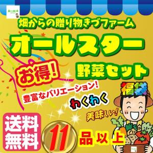 【送料無料（配送会社選択不可）】畑からの贈り物きづファームオールスター野菜セット　農薬不使用、化学肥料不使用など　１３品以上！｜kizufarm