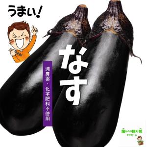 赤紫蘇の実（赤じその実、穂紫蘇、穂じそ） ☆農薬や化学肥料は使用し