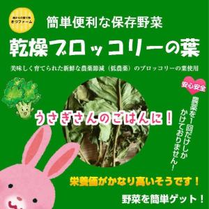 乾燥ブロッコリーの葉　1袋３０ｇ　農薬節減（低農薬）のブロッコリーの葉を使用しています！　【３個までメール便対応可能】｜kizufarm