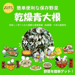 乾燥青大根　1袋９０ｇ　農薬節減（低農薬）の青大根（ビタミン大根）を使用しています！　【１個までメール便対応可能】｜kizufarm