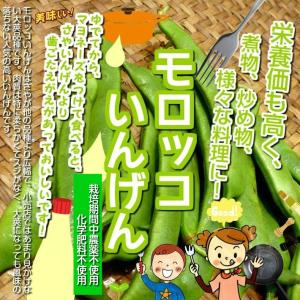 モロッコいんげん　栽培期間中農薬不使用・化学肥料不使用　１袋約１００ｇ♪