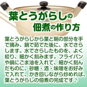 葉とうがらし(葉唐辛子) ☆農薬や化学肥料は不...の詳細画像4