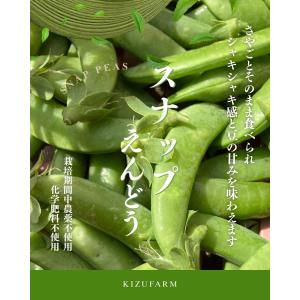 ヤーコン訳あり生芋2kg長野県産 送料無料※東北以北440円、九州220円