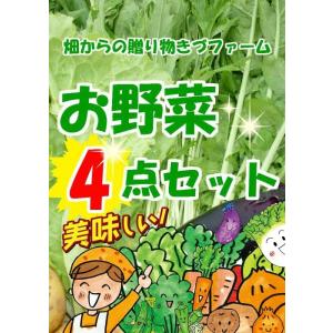 【※送料別】葉物中心！お野菜４点セット　☆単品商品と同じ量で４品入れさせていただきます！