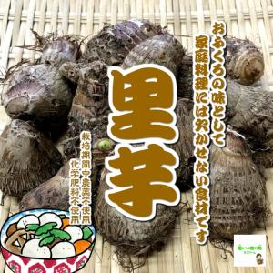 里芋　栽培期間中農薬不使用・化学肥料不使用　埼玉県産　１袋約５００ｇ（Mサイズ）｜kizufarm