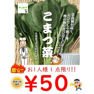 こまつ菜（小松菜）　低農薬・化学肥料不使用　１束約２５０ｇ