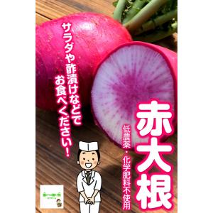 赤大根　低農薬・化学肥料不使用　１本！(小さい場合は２個になります)　※葉は切ってあり、少し割れている場合もあります。　｜kizufarm