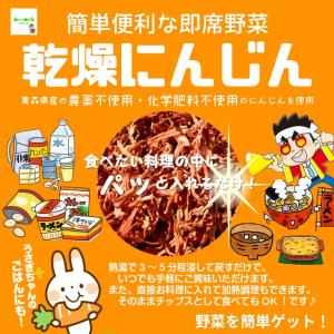 【３個まで定形外便対応可能】　乾燥にんじん（ドライにんじん）　青森県産の農薬不使用・化学肥料不使用のにんじんを使用しています！　1袋１０ｇ｜kizufarm