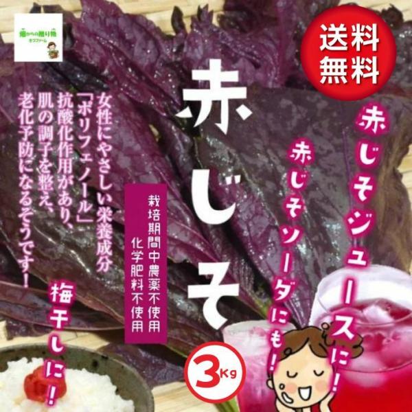 【送料無料(常温便)】赤じそ（赤紫蘇、赤しそ）　☆農薬や化学肥料は使用しておりません　埼玉県産　枝付...