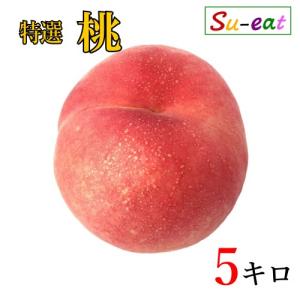 【8/25受注終了予定】自宅用【川中島白桃 10kg 約24-36個】 8月下旬〜9月上旬 訳あり 川中島白桃 減農薬 長野県産 10キロ : Su-eat