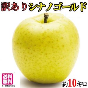 10月中旬〜下旬　シナノゴールド りんご　訳あり　減農薬　長野県産　10キロ｜kizunasanntyokukai