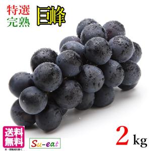 9月中旬〜下旬 特選 ナガノパープル 種なし ぶどう 長野県産 2キロ