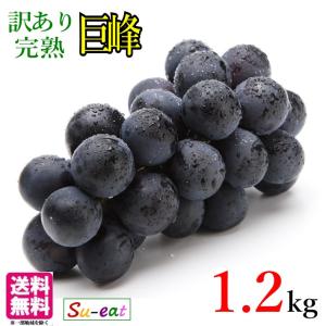 9月中旬〜下旬　巨峰 訳あり 種なし ぶどう 長野県産 1.2キロ