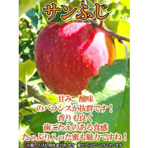 小玉 サンふじ 訳あり 減農薬りんご 長野産 ...の詳細画像3