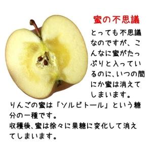 小玉 サンふじ 訳あり 減農薬りんご 長野産 ...の詳細画像5
