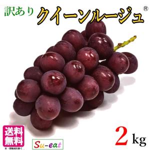 9月下旬　クイーンルージュ　訳あり 種なし ぶどう 長野県産 2キロ