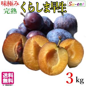 8月中旬〜下旬　くらしま早生 生プルーン  長野県産  3キロ