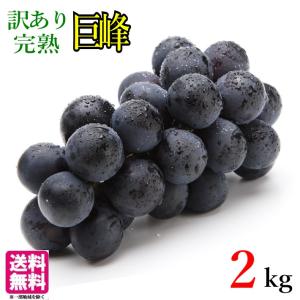 9月上旬〜中旬　巨峰　 種無し ぶどう　訳あり　2キロ　 長野県産｜kizunasanntyokukai