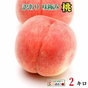 8月中旬　なつっこ　訳あり  減農薬 長野県産 2キロ