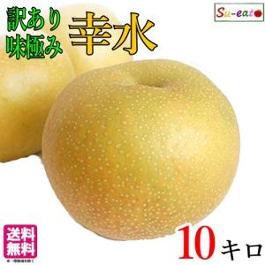 8月下旬〜9月上旬　訳あり  梨 幸水 減農薬　長野県産 10キロ｜kizunasanntyokukai