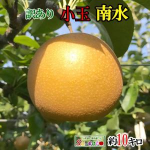 南水 梨 小玉 訳あり 減農薬 長野県産 10キロ　レビューを書いたら200円