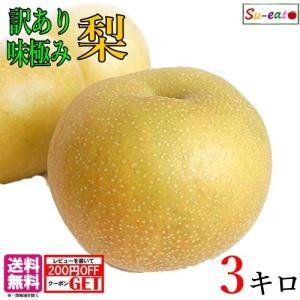 南水　梨 訳あり　減農薬　長野県産  3キロ　オマケつき　レビュー書いたら200円クーポン