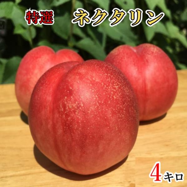 7月下旬　特選　 ネクタリン 減農薬 長野県産 4キロ