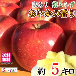 11月上旬〜中旬 あいかの香り 訳あり りんご ...の商品画像
