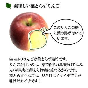 11月上旬〜中旬 あいかの香り 訳あり りんご...の詳細画像2