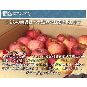 11月上旬〜中旬 あいかの香り 訳あり りんご...の詳細画像4