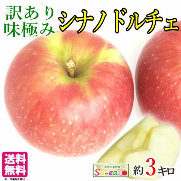 9月上旬〜中旬　シナノドルチェ　訳あり りんご　減農薬 長野県産 3キロ　