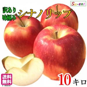 8月中旬　訳あり シナノリップ りんご　減農薬 長野県産 10キロ　｜kizunasanntyokukai