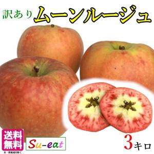 １０月下旬　訳あり ムーンルージュ りんご 減農薬 長野県産 3キロ｜kizunasanntyokukai