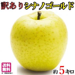 10月中旬〜下旬　シナノゴールド りんご　訳あり　減農薬 長野県産  5キロ