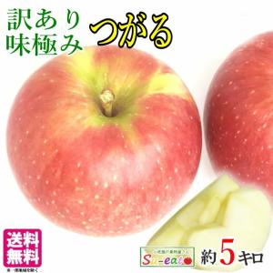 8月下旬　つがる　訳あり  りんご  減農薬 長野県産 5キロ　