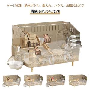 広い空間 小動物 ゴールデンハムスター ハムス...の詳細画像5