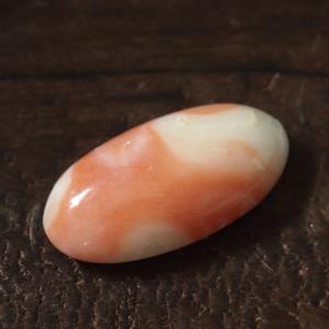 桃色珊瑚  オーバル カボション ルース  sango サンゴ さんご 裸石｜kjewel