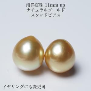 南洋真珠 ナチュラルゴールド ピアス セミラウンド12mm up イヤリング