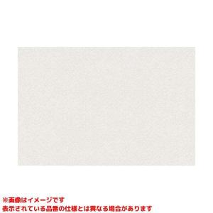 TOTO フィッティングボード TOTO YKA41R 樹脂 ホワイト ※YKA41の後継品