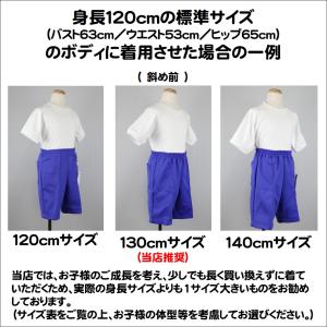 セミハーフパンツ(ブルー)130cmサイズの詳細画像3
