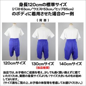 セミハーフパンツ(ブルー)130cmサイズの詳細画像5