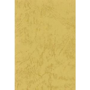 エスケント 色画用紙 レザック66 130kg A4 からし 10枚 1430051