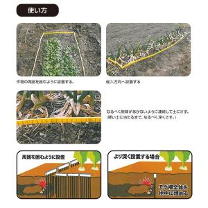 モグラよけ もぐら 対策 柵でブロック!モグラ...の詳細画像1