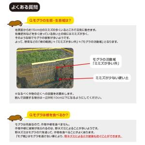 モグラよけ もぐら 対策 柵でブロック!モグラ...の詳細画像2