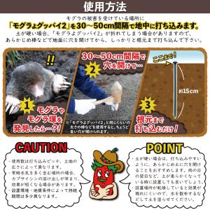 モグラ駆除 モグラよグッバイ2(50本入)モグ...の詳細画像2
