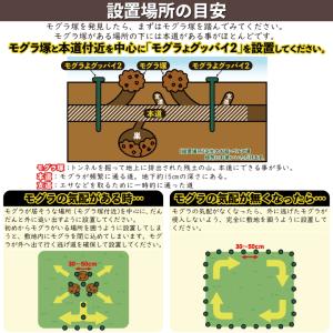 モグラ駆除 モグラよグッバイ2(50本入)モグ...の詳細画像3