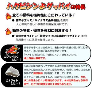 ハクビシン忌避剤 駆除 屋根裏 ハクビシンよグ...の詳細画像2