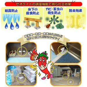 ハクビシン忌避剤 駆除 屋根裏 ハクビシンよグ...の詳細画像3