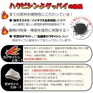 ハクビシン対策 ハクビシンよグッバイ(屋外用)...の詳細画像2